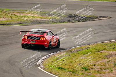 media/Feb-25-2024-Speed Ventures (Sun) [[b9a2a97a4d]]/Mustang Drivers Club/Session 1 (Turns 4 and 5)/
